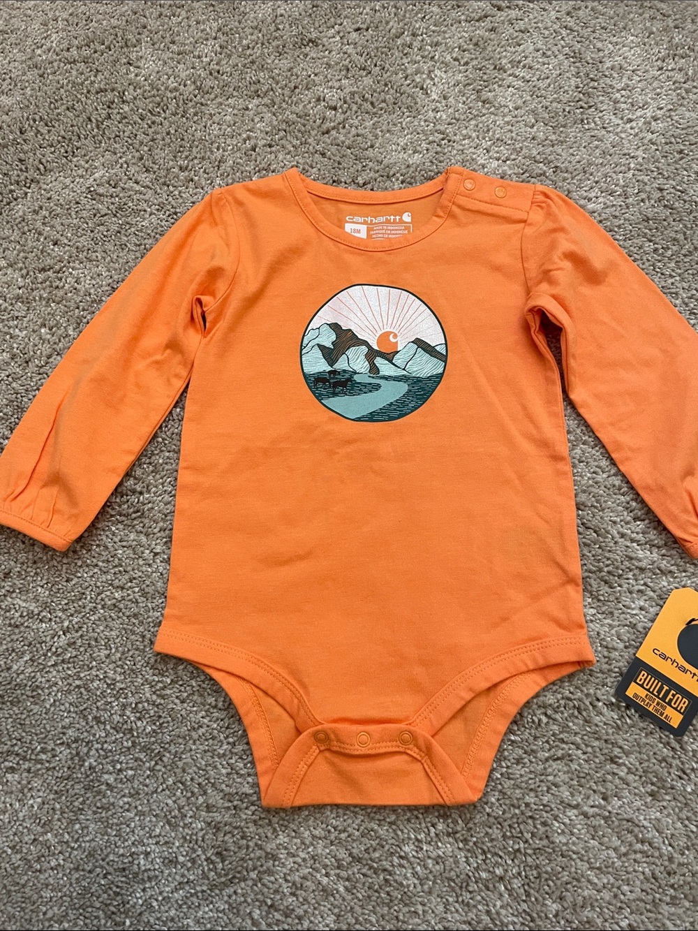 Carhartt Orange Long-Sleeve Baby Bodysuit with Mountain Graphic